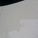 정안세차장