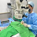 무안동물병원 이미지