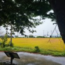 청촌맛공감 담양여행 후기 (청촌맛여행)