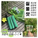 2024 서울국제도서전 후기 :: SIBF 1일차, 도서전 부스 추천, 굿즈 후기