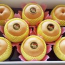 한길농원 이미지