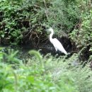 시화호수로4 이미지