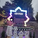 천안 가을 가볼만한곳 독립기념관, 야간개장 단풍나무숲길 운영시간 등 방문 후기