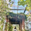 건축사사무소 성화 이미지