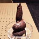 분더펫 네이버블로그