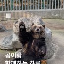 (사)세종시장애인부모회 | 세종 베어트리파크 후기🐻 곰 먹이주기부터 수목원까지 알찬 나들이!