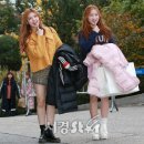 샌디 이미지