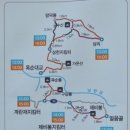 천구식품 Daum카페