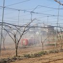 청주약품 이미지