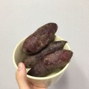 신해남농장 네이버블로그