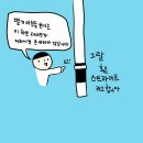 플랜비주짓수