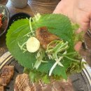 송원지 | 부산 남구 용호동 갈비 맛집 “송원왕갈비” 다녀온 후기!