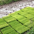 흥농농약사 이미지