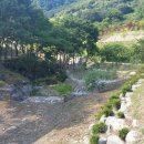 비학산자연휴양림 이미지