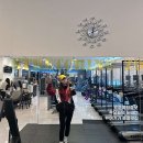 지지아나 이미지