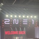 와이지지