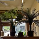 용산-219 이미지