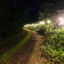 위드펫(with pet) 이미지