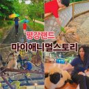 힐링 나들이 | ✨️포천 가볼만한곳 ✨ 마이애니멀스토리 in 평강랜드, 동물교감 힐링 후기! 서울 근교 나들이✨️