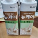 10월 넷째주 일상 - 반려견, 덕질, 반려식물, 전자책 독서