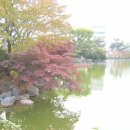 국화호수 이미지