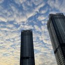 청라S한방병원 | 청라 S 한방 병원 입원 - 7 DAY 석남 JS 노송 병원 CT 촬영 , 퇴원