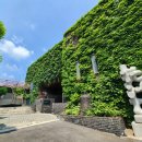 아라리오뮤지엄 이미지