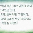 노파도 Daum카페