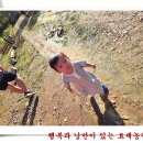 이안농장 이미지