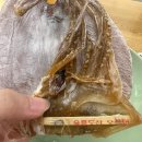 울릉도특산품직판장 이미지