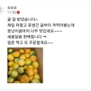 오늘 귤을 먹어보는데 너무 맛있어요.. 자신있게 판매합니다. 🍊 저렴하게 구매하세요^^ 이미지