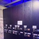 도그 앤 캣츠 | [울산] 가족, 연인,친구와 즐길 거리 성남동 방탈출카페 제트방탈출 (완전 초보 이용후기!)