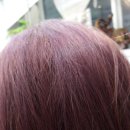 보라보라미용실