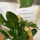 제주미식회 이미지