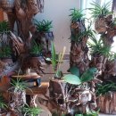 무주해바라기펜션호스텔 이미지