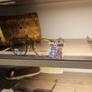 선샤인안경원 | 오운데이즈 폼폼푸린 안경(안경 구매, 도수 맞추기, 면세)owndays