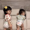 별샘어린이집 | 킨도 기저귀 종류별 비교후기!직접 써보고 정착한 라인은?