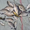 성호낚시터 이미지