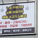 함덕촐래밥상