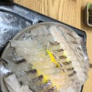 어사출또 이미지