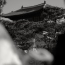 마리-가든