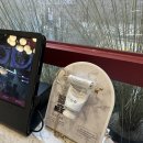 미뇽 | 더미뇽 서울 솔직 후기 분위기까지 완성도 높은 신논현 맛집