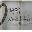 이박하 이미지