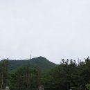 양사언 선생 묘 이미지