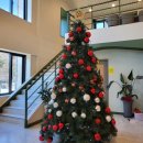 모어그린 이미지