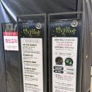 반딧불이유치원 | 잠실 롯데월드몰, 유튜버 다흑의 도심 속 반딧불이 체험 솔직 후기!
