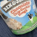 커피하게나편의점 | [리-뷰] 벤앤제리스 처도리의 맛 추천
