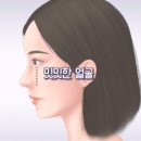 ✨JW정원성형외과의 자랑✨ 눈밑 성형의 대가 최홍림 원장님 🖋학술활동 파헤치기🧐🧐🧐│JW정원성형외과...