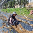 희망영농 이미지