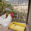 구미곤충산업농장 이미지